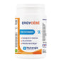 ERGYCEBE GELUL 90